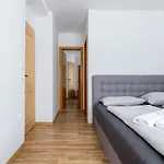 Ribniska Koca 旅馆