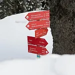 Ribniska Koca * Ribnica na Pohorju